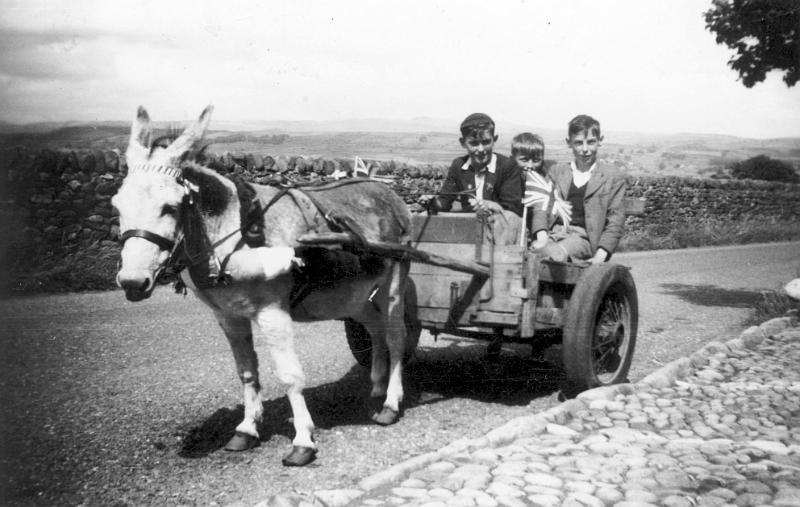 Donkey Cart - C1952.JPG - Turpin pulling the donkey cart - around 1952 - John Mellin, Alan Capstick and John Nixon.